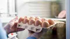 Lze nechávat vejce ve dveřích lednice: hlavní chyby při skladování vajec