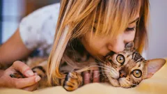 Kočka vás miluje, ale mlčí: 10 gest, kterých jste si možná nevšimli