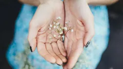 Sám sobě psycholog: Jak určit typ osobnosti podle tvaru dlaní